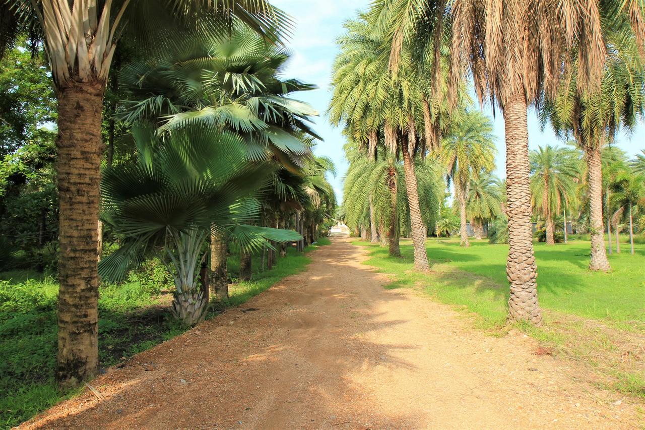 Lopburi Palm Resort Lop Buri Exterior foto