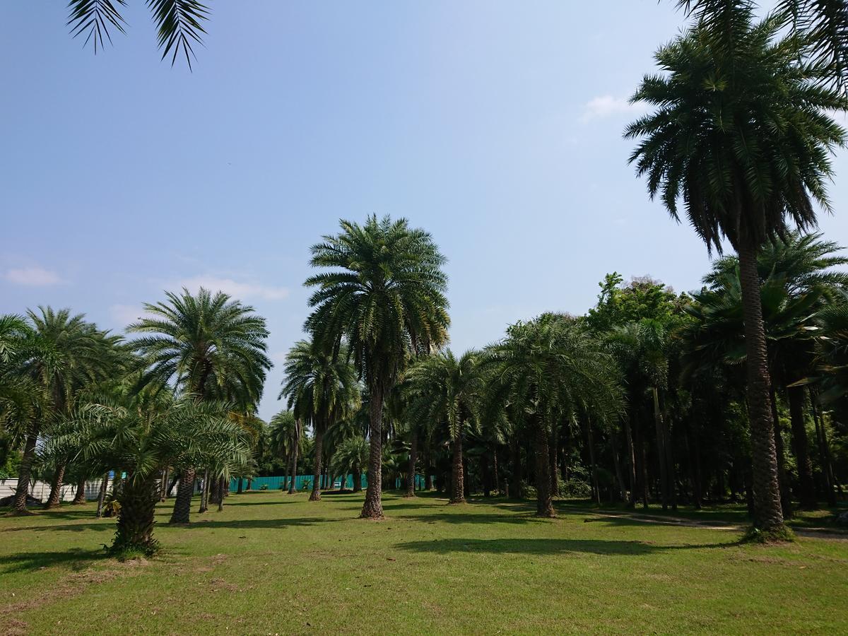 Lopburi Palm Resort Lop Buri Exterior foto