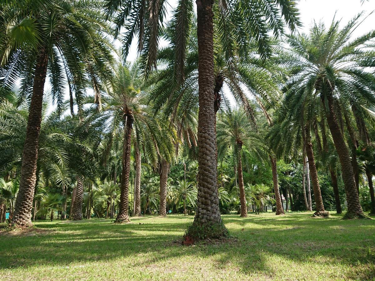 Lopburi Palm Resort Lop Buri Exterior foto